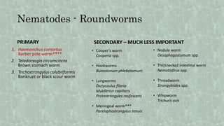 Nematodes - Roundworms
PRIMARY
1. Haemonchus contortus
Barber pole worm****
2. Teladorsagia circumcincta
Brown stomach worm
3. Trichostrongylus colubriformis
Bankrupt or black scour worm
SECONDARY – MUCH LESS IMPORTANT
• Cooper’s worm
Cooperia spp.
• Hookworms
Bunostonum phlebotomum
• Lungworms
Dictycaulus filaria
Muellerius capillaris
Protostrongyles reufescens
• Meningeal worm***
Parelaphostrongylus tenuis
• Nodule worm
Oesophagostumum spp.
• Thicknecked intestinal worm
Nematodirus spp.
• Threadworm
Strongyloides spp.
• Whipworm
Trichuris ovis
 