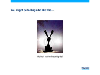 You might be feeling a bit like this…
Rabbit in the headlights!
 
