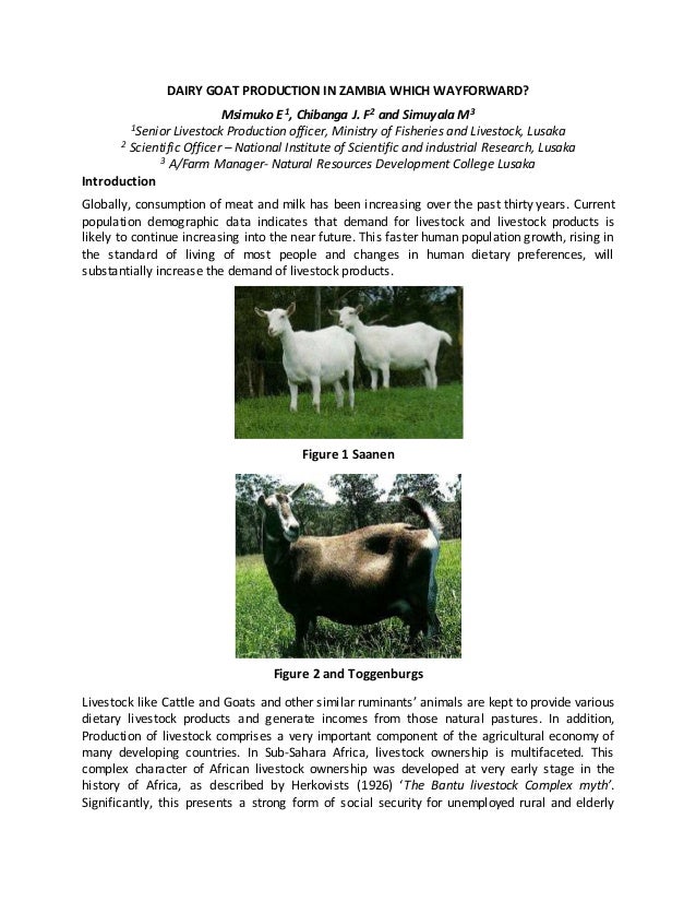 Dairy Goat Production in Zambia "way forward"