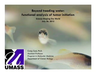 Beyond treading water:
functional analysis of tumor initiation
             Science Shaping Our World
                   July 26, 2012




    Craig Ceol, Ph.D.
    Assistant Professor
    Program in Molecular Medicine
    Department of Cancer Biology
 