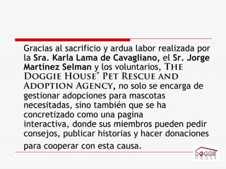 Gracias al sacrificio y ardua labor realizada por la Sra. Karla Lama de Cavagliano, el Sr. Jorge Martínez Selman y los voluntarios, The Doggie House” Pet Rescue and Adoption Agency, no solose encarga de gestionar adopciones para mascotas necesitadas, sino también que se ha concretizado como una pagina interactiva, donde sus miembros pueden pedir consejos, publicar historias y hacer donaciones para cooperar con esta causa.