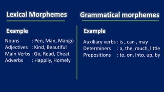 Homely Example Morphemes And it classification | PPTX