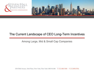 The Current Landscape of CEO Long-Term Incentives
Among Large, Mid & Small Cap Companies
 
