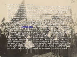 SHPALLJA E PAVAR SIS S KOSOV S visual data 4