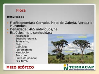 Flora
Resultados
 Fitofisionomias: Cerrado, Mata de Galeria, Vereda e
Murundus.
 Densidade: 465 indivíduos/ha.
 Espécies mais conhecidas:
 Jacarandá;
 Sucupira-branca.
 Pau-santo;
 Pequi;
 Gomeira;
 Ipê-amarelo;
 Mandiocão;
 Araticum;
 Fruta-de-pomba;
 Pau-terra.
MEIO BIÓTICO
Gomeira Mandiocão
Pau-santo
 