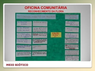 MEIO BIÓTICO
OFICINA COMUNITÁRIA
RECONHECIMENTO DA FLORA
 