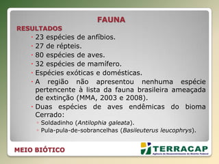 FAUNA
RESULTADOS
 23 espécies de anfíbios.
 27 de répteis.
 80 espécies de aves.
 32 espécies de mamífero.
 Espécies exóticas e domésticas.
 A região não apresentou nenhuma espécie
pertencente à lista da fauna brasileira ameaçada
de extinção (MMA, 2003 e 2008).
 Duas espécies de aves endêmicas do bioma
Cerrado:
◦ Soldadinho (Antilophia galeata).
◦ Pula-pula-de-sobrancelhas (Basileuterus leucophrys).
MEIO BIÓTICO
 
