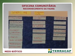 OFICINA COMUNITÁRIA
RECONHECIMENTO DA FAUNA
MEIO BIÓTICO
 