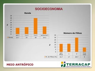 MEIO ANTRÓPICO
até 2 2 a 4 4 a 5 acima de 5
Renda 23.7 24 28 24.3
21
22
23
24
25
26
27
28
29
%
Renda
sem
filhos
1 2
5 ou
mais
N. de Filhos (%) 16.7 17 29.7 9
0
5
10
15
20
25
30
35
%
Número de Filhos
SOCIOECONOMIA
 