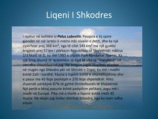 Liqeni I Shkodres
I njohur në lashtësi si Palus Labeatis. Pasqyra e tij ujore
gjendet në një lartësi 6 metra mbi nivelin e...