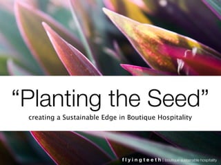 “Planting the Seed”
 creating a Sustainable Edge in Boutique Hospitality




                              flyingteeth   boutique sustainable hospitality
 