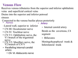 Venous Flow
Receives venous tributaries from the superior and inferior ophthalmic
veins and superficial cortical veins
Drains into the superior and inferior petrosal
sinuses
Connected to the venous basilar plexus posteriorly
• Nerves
–Lateral wall, superior to inferior
• CN III: Occulomotor nerve
• CN IV: Trochlear nerve
• CN V1: Ophthalmic nerve, the
V1 branch of the trigeminal
nerve
• CN V2: Maxillary nerve, the
V2 branch of CN V
– Paralleling internal carotid
artery
• CN VI: Abducents nerve
• Artery
– Internal carotid artery
Bends as the cavernous, C4
segment
– Bifurcates
Meningohypophysel trunk &
Inferolateral trunk
 