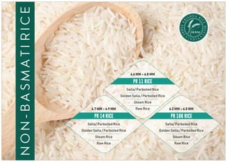 non-basmatirice
6.6 MM – 6.8 MM
PR 11 RICE
Sella/ Parboiled Rice
Golden Sella / Parboiled Rice
Steam Rice
Raw Rice 6.2 MM – 6.5 MM
PR 106 RICE
Sella/ Parboiled Rice
Golden Sella / Parboiled Rice
Steam Rice
Raw Rice
6.7 MM – 6.9 MM
PR 14 RICE
Sella/ Parboiled Rice
Golden Sella / Parboiled Rice
Steam Rice
Raw Rice
N AH RSI I
C
R
E
K
M
EE
IL
R
L
H
S
S
 