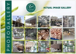 actual image gallery
photogallery
N AH RSI I
C
R
E
K
M
EE
IL
R
L
H
S
S
 