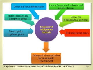 http://www.sciencedirect.com/science/article/pii/S0378111911000916   14
 