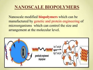 NANOSCALE BIOPOLYMERS

Nanoscale modified biopolymers which can be
manufactured by genetic and protein engineering of
microorganisms which can control the size and
arrangement at the molecular level.




                                                     18
 