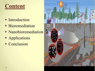 Content

   Introduction
   Bioremediation
   Nanobioremediation
   Applications
   Conclusion




                         2
 