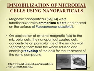 IMMOBILIZATION OF MICROBIAL
 CELLS USING NANOPARTICALS
• Magnetic nanoparticals (Fe3O4) were
  functionalized with ammonium oleate and coated
  on the surface of Pseudomonas delafieldii.

• On application of external magnetic field to the
  microbial cells, the nanopartical coated cells
  concentrate on particular site of the reactor wall
  separating them from the whole solution and
  enabling recycling of the cells for the treatment of
  the same compound.

 http://www.ncbi.nlm.nih.gov/pmc/articles
 /PMC1183266/figure/f2/                                  28
 