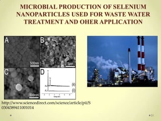 MICROBIAL PRODUCTION OF SELENIUM
        NANOPARTICLES USED FOR WASTE WATER
          TREATMENT AND OHER APPLICATION




http://www.sciencedirect.com/science/article/pii/S
0304389411001014
                                                     31
 