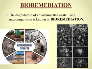 BIOREMEDIATION
• The degradation of environmental waste using
  microorganisms is known as BIOREMEDIATION.




                                                 8
 