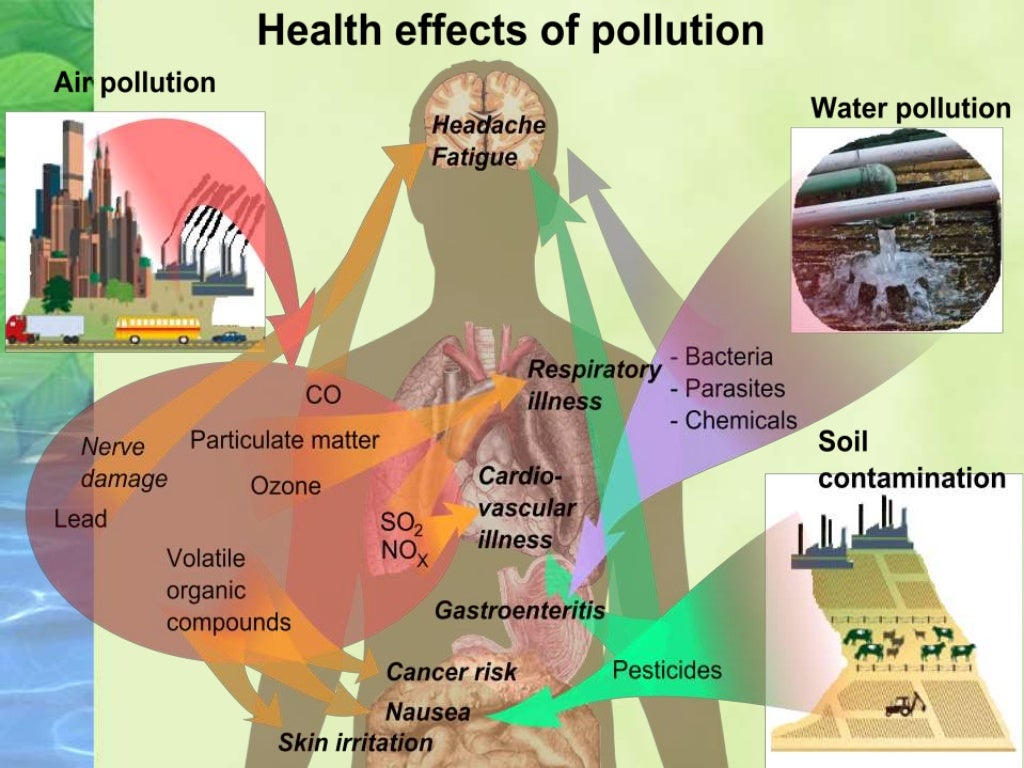 Ppt Green Revolution