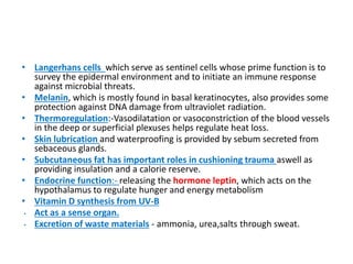 ppt skin - layers of skin in the human body | PPTX