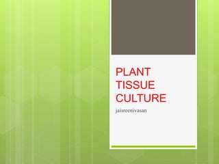 jaisreenivasan
PLANT
TISSUE
CULTURE
 