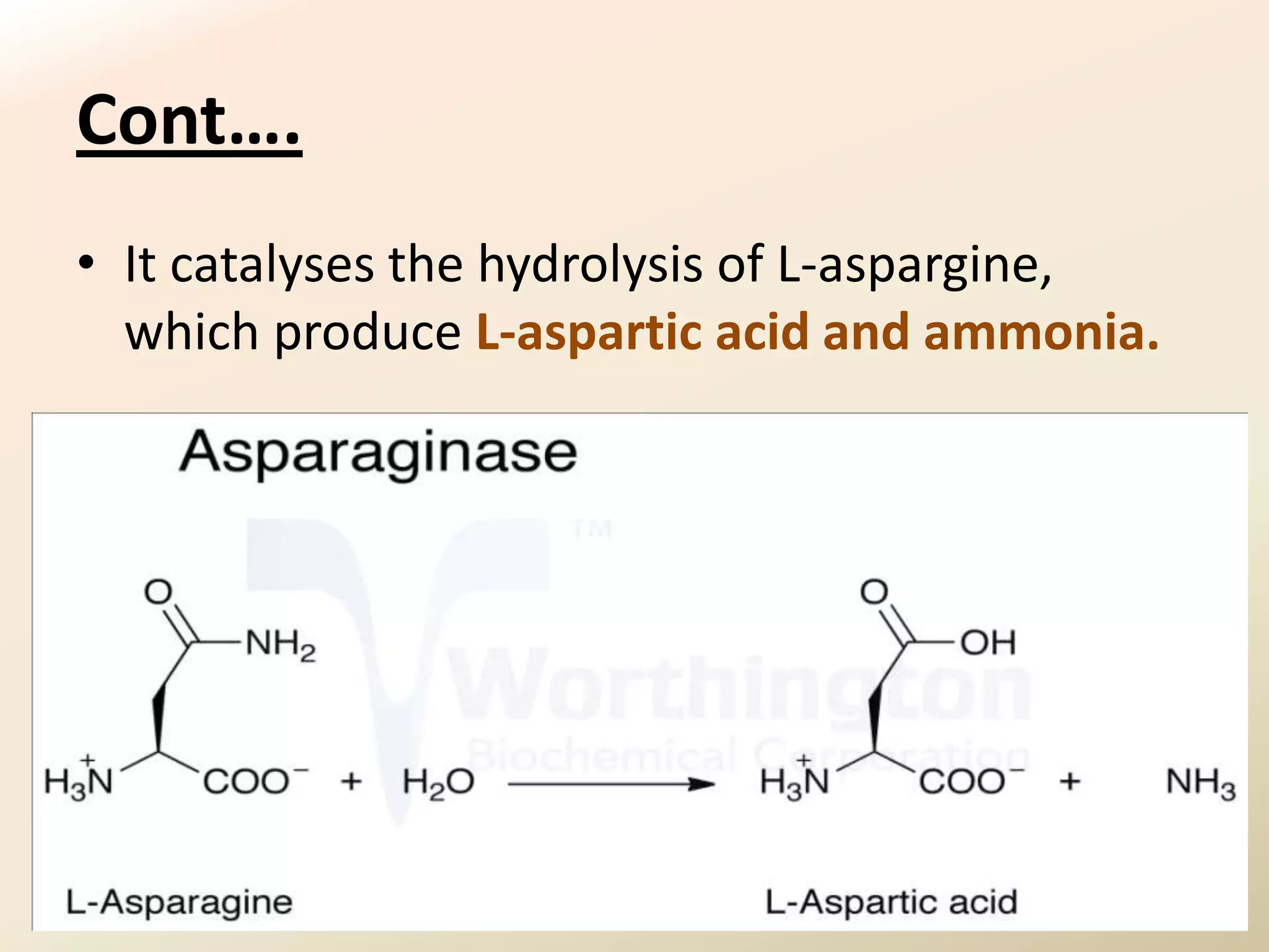Cont….
• It catalyses the hydrolysis of L-aspargine,
  which produce L-aspartic acid and ammonia.
 