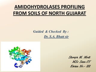 AMIDOHYDROLASES PROFILING
FROM SOILS OF NORTH GUJARAT


       Guided & Checked By :
             Dr. S.A. Bhatt sir




                              Shreya M. Modi
                                MSc Sem-IV
                               Exam No.- 181
 