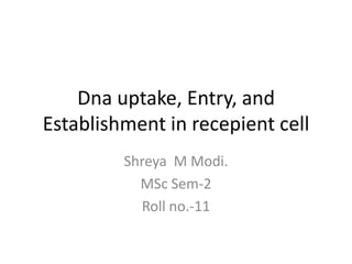 Dna uptake, Entry, and
Establishment in recepient cell
         Shreya M Modi.
           MSc Sem-2
           Roll no.-11
 