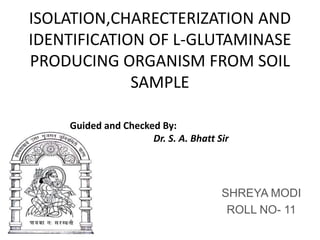 ISOLATION,CHARECTERIZATION AND
IDENTIFICATION OF L-GLUTAMINASE
PRODUCING ORGANISM FROM SOIL
             SAMPLE

    Guided and Checked By:
                     Dr. S. A. Bhatt Sir




                                      SHREYA MODI
                                       ROLL NO- 11
 