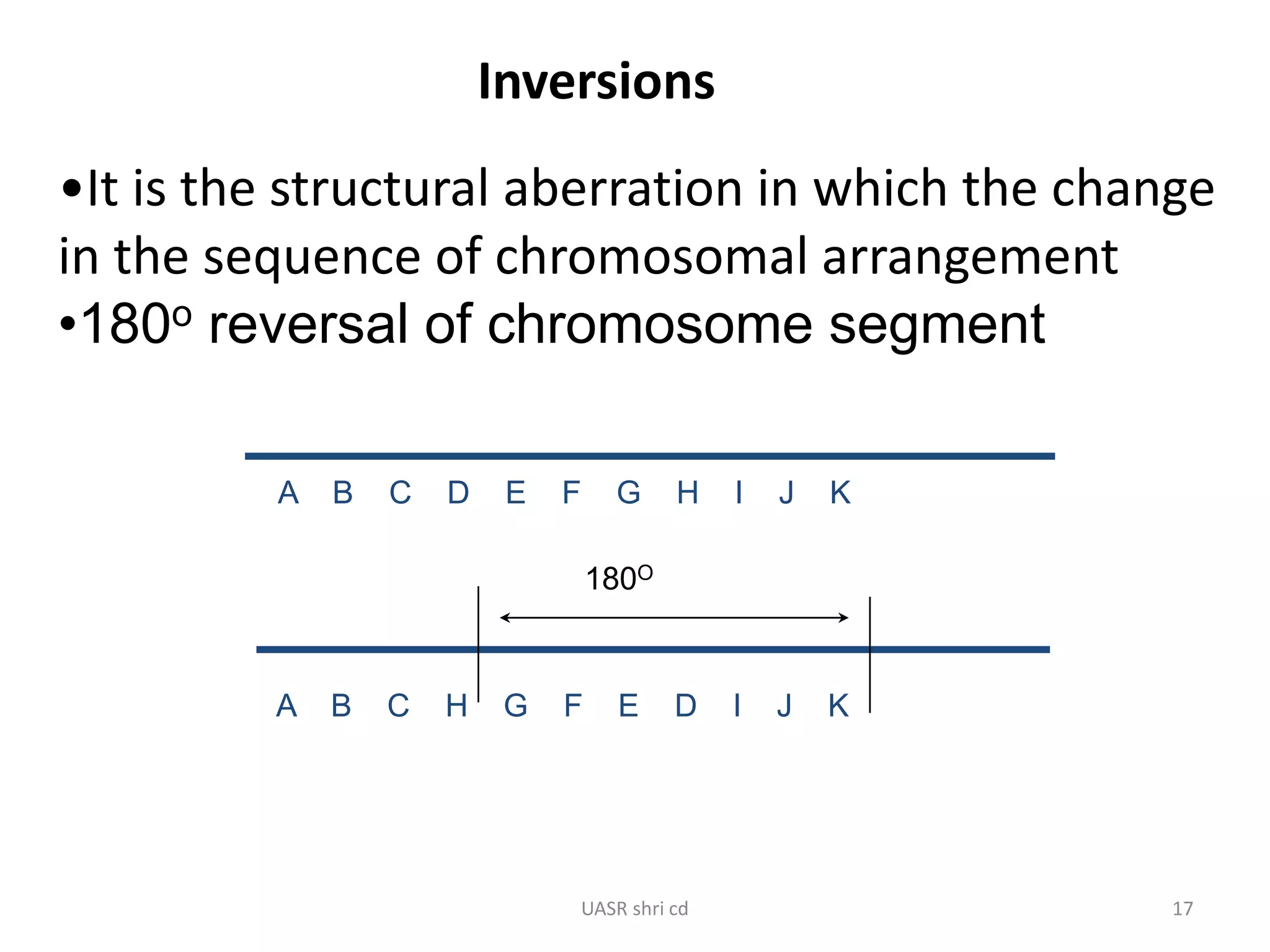Inversions 
•It is the structural aberration in which the change 
in the sequence of chromosomal arrangement 
•180o reversal of chromosome segment 
A B C D E F G H I J K 
180O 
A B C H G F E D I J K 
UASR shri cd 17 
 