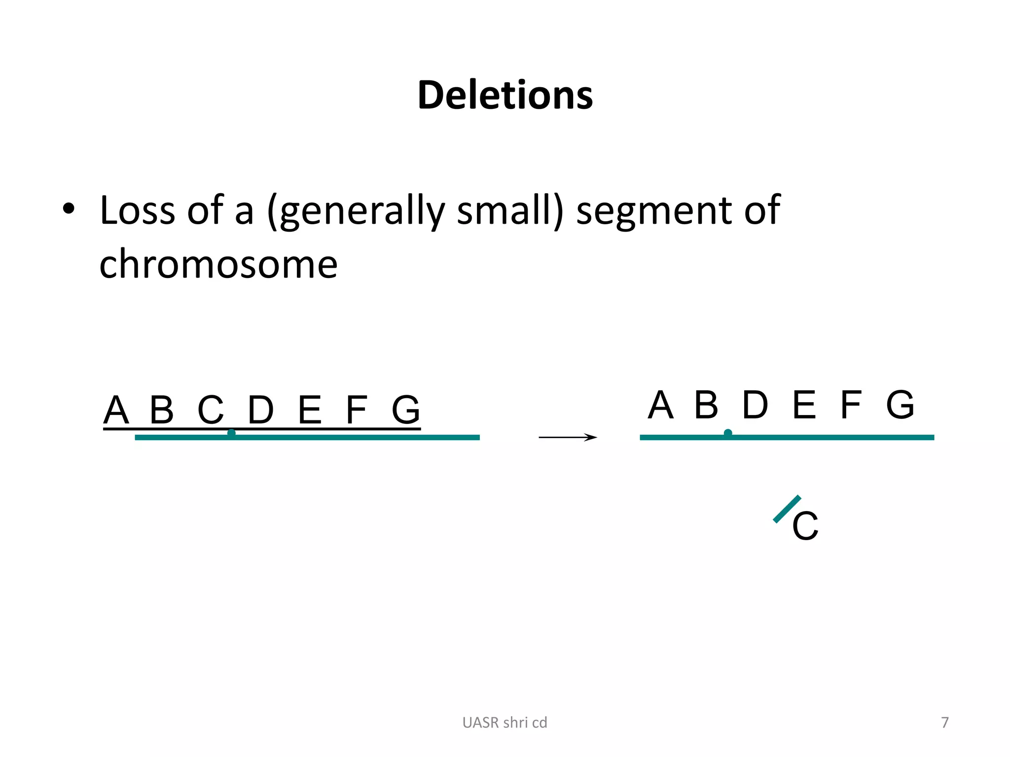 Deletions 
• Loss of a (generally small) segment of 
chromosome 
A B C D E F G A B D E F G 
C 
UASR shri cd 7 
 