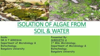 ISOLATION OF ALGAE FROM
SOIL & WATER
Guide:
DR.S T GIRISHA
Department of Microbiology &
Biotechnology,
Bangalore University
Presented By:
SHRIHITH A
1st MSc Microbiology,
Department of Microbiology &
Biotechnology,
Bangalore University
 