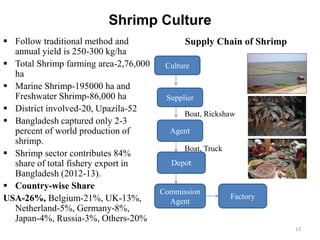 Shrimp Culture
 Follow traditional method and
annual yield is 250-300 kg/ha
 Total Shrimp farming area-2,76,000
ha
 Marine Shrimp-195000 ha and
Freshwater Shrimp-86,000 ha
 District involved-20, Upazila-52
 Bangladesh captured only 2-3
percent of world production of
shrimp.
 Shrimp sector contributes 84%
share of total fishery export in
Bangladesh (2012-13).
 Country-wise Share
USA-26%, Belgium-21%, UK-13%,
Netherland-5%, Germany-8%,
Japan-4%, Russia-3%, Others-20%
Supply Chain of Shrimp
Culture
Supplier
Agent
Depot
Commission
Agent
Factory
Boat, Rickshaw
Boat, Truck
13
 