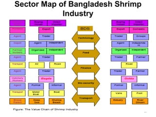Sector Map of Bangladesh Shrimp
Industry
16
 