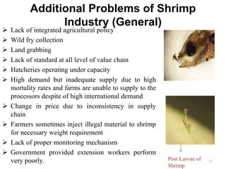 Additional Problems of Shrimp
Industry (General)
 Lack of integrated agricultural policy
 Wild fry collection
 Land grabbing
 Lack of standard at all level of value chain
 Hatcheries operating under capacity
 High demand but inadequate supply due to high
mortality rates and farms are unable to supply to the
processors despite of high international demand
 Change in price due to inconsistency in supply
chain
 Farmers sometimes inject illegal material to shrimp
for necessary weight requirement
 Lack of proper monitoring mechanism
 Government provided extension workers perform
very poorly. Post Larvae of
Shrimp
17
 