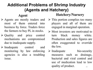 Additional Problems of Shrimp Industry
(Agents and Hatchery)
Agent
 Agents are mostly traders and
most of them entered into
business by force. Traders force
the farmers to buy PL in stocks.
 Quality and price control
mechanisms are compromised
due to inadequate supply.
 Inadequate control and
monitoring by law enforcing
agencies is also a troubling
issue.
Hatchery/Nursery
 This portion complies too many
players and all of them are
engaged in marginal operation.
 Most investors are motivated to
turn black money white.
Production and sales figures are
often exaggerated to override
the low.
 Inadequate bio-security
measures such as drainage,
bacterial and viral control and
use of medication lead to low
quality of product. 19
 