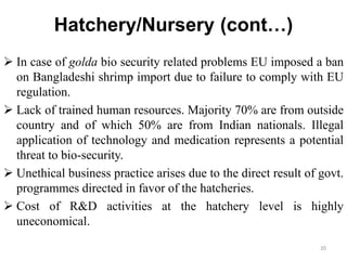 Hatchery/Nursery (cont…)
 In case of golda bio security related problems EU imposed a ban
on Bangladeshi shrimp import due to failure to comply with EU
regulation.
 Lack of trained human resources. Majority 70% are from outside
country and of which 50% are from Indian nationals. Illegal
application of technology and medication represents a potential
threat to bio-security.
 Unethical business practice arises due to the direct result of govt.
programmes directed in favor of the hatcheries.
 Cost of R&D activities at the hatchery level is highly
uneconomical.
20
 