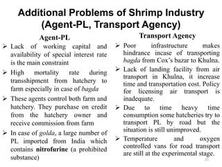 Additional Problems of Shrimp Industry
(Agent-PL, Transport Agency)
Agent-PL
 Lack of working capital and
availability of special interest rate
is the main constraint
 High mortality rate during
transshipment from hatchery to
farm especially in case of bagda
 These agents control both farm and
hatchery. They purchase on credit
from the hatchery owner and
receive commission from farm
 In case of golda, a large number of
PL imported from India which
contains nitrofurine (a prohibited
substance)
Transport Agency
 Poor infrastructure makes
hindrance incase of transporting
bagda from Cox’s bazar to Khulna.
 Lack of landing facility from air
transport in Khulna, it increase
time and transportation cost. Policy
for licensing air transport is
inadequate.
 Due to time heavy time
consumption some hatcheries try to
transport PL by road but the
situation is still unimproved.
 Temperature and oxygen
controlled vans for road transport
are still at the experimental stage.
21
 