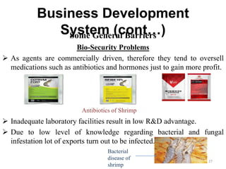 Business Development
System (cont…)
Bio-Security Problems
 As agents are commercially driven, therefore they tend to oversell
medications such as antibiotics and hormones just to gain more profit.
 Inadequate laboratory facilities result in low R&D advantage.
 Due to low level of knowledge regarding bacterial and fungal
infestation lot of exports turn out to be infected.
Some General Barriers
Bacterial
disease of
shrimp
Antibiotics of Shrimp
27
 