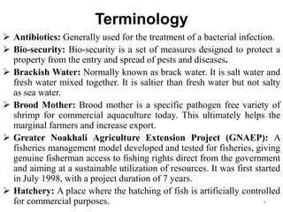 Terminology
 Antibiotics: Generally used for the treatment of a bacterial infection.
 Bio-security: Bio-security is a set of measures designed to protect a
property from the entry and spread of pests and diseases.
 Brackish Water: Normally known as brack water. It is salt water and
fresh water mixed together. It is saltier than fresh water but not salty
as sea water.
 Brood Mother: Brood mother is a specific pathogen free variety of
shrimp for commercial aquaculture today. This ultimately helps the
marginal farmers and increase export.
 Greater Noakhali Agriculture Extension Project (GNAEP): A
fisheries management model developed and tested for fisheries, giving
genuine fisherman access to fishing rights direct from the government
and aiming at a sustainable utilization of resources. It was first started
in July 1998, with a project duration of 7 years.
 Hatchery: A place where the hatching of fish is artificially controlled
for commercial purposes. 4
 