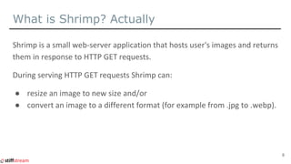 What is Shrimp? Actually
●
●
8
 