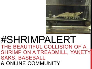 #SHRIMPALERT
THE BEAUTIFUL COLLISION OF A
SHRIMP ON A TREADMILL, YAKETY
SAKS, BASEBALL
& ONLINE COMMUNITY
 
