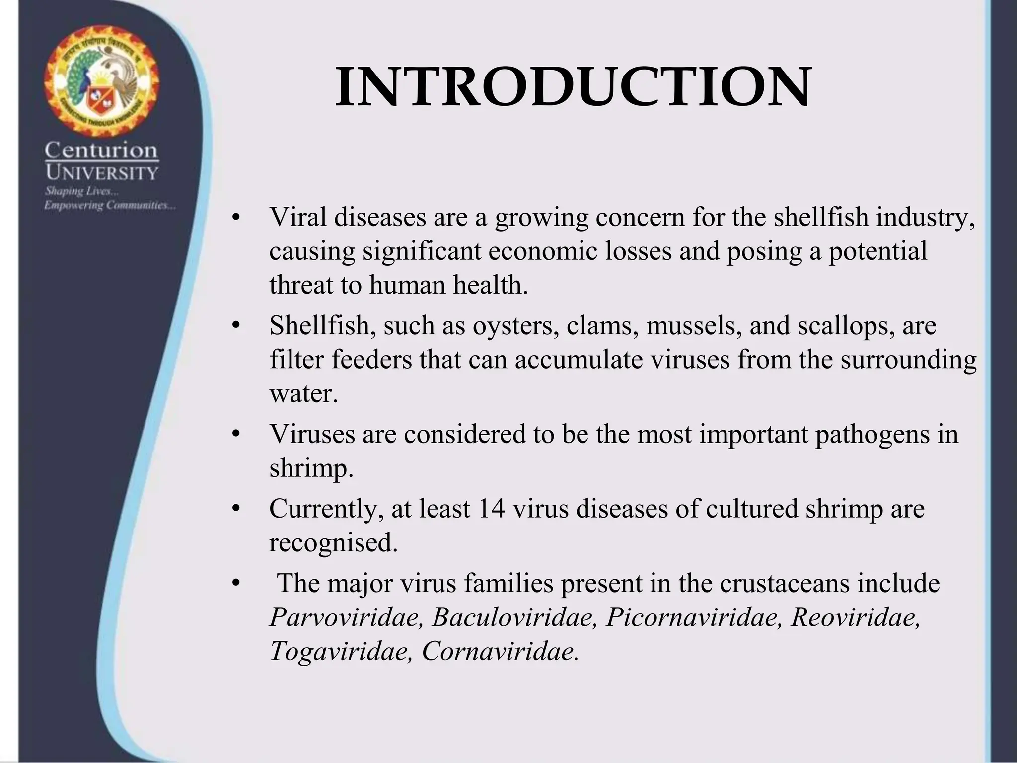 Viral diseases in shellfish--shrimp-virus | PPTX