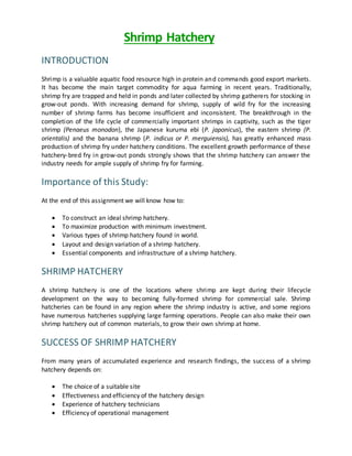 Shrimp Hatchery
INTRODUCTION
Shrimp is a valuable aquatic food resource high in protein and commands good export markets.
It has become the main target commodity for aqua farming in recent years. Traditionally,
shrimp fry are trapped and held in ponds and later collected by shrimp gatherers for stocking in
grow-out ponds. With increasing demand for shrimp, supply of wild fry for the increasing
number of shrimp farms has become insufficient and inconsistent. The breakthrough in the
completion of the life cycle of commercially important shrimps in captivity, such as the tiger
shrimp (Penaeus monodon), the Japanese kuruma ebi (P. japonicus), the eastern shrimp (P.
orientalis) and the banana shrimp (P. indicus or P. merguiensis), has greatly enhanced mass
production of shrimp fry under hatchery conditions. The excellent growth performance of these
hatchery-bred fry in grow-out ponds strongly shows that the shrimp hatchery can answer the
industry needs for ample supply of shrimp fry for farming.
Importance of this Study:
At the end of this assignment we will know how to:
 To construct an ideal shrimp hatchery.
 To maximize production with minimum investment.
 Various types of shrimp hatchery found in world.
 Layout and design variation of a shrimp hatchery.
 Essential components and infrastructure of a shrimp hatchery.
SHRIMP HATCHERY
A shrimp hatchery is one of the locations where shrimp are kept during their lifecycle
development on the way to becoming fully-formed shrimp for commercial sale. Shrimp
hatcheries can be found in any region where the shrimp industry is active, and some regions
have numerous hatcheries supplying large farming operations. People can also make their own
shrimp hatchery out of common materials, to grow their own shrimp at home.
SUCCESS OF SHRIMP HATCHERY
From many years of accumulated experience and research findings, the success of a shrimp
hatchery depends on:
 The choice of a suitable site
 Effectiveness and efficiency of the hatchery design
 Experience of hatchery technicians
 Efficiency of operational management
 