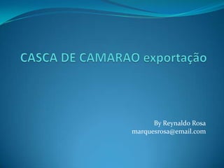 CASCA DE CAMARAO exportação By Reynaldo Rosa marquesrosa@email.com  