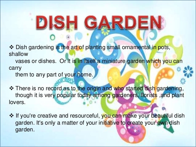 Shri's Dish Garden Simple Dish Gardens Designs Shri's Dish Garden Simple Dish Gardens Designs