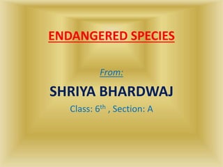 ENDANGERED SPECIES
From:
SHRIYA BHARDWAJ
Class: 6th , Section: A
 