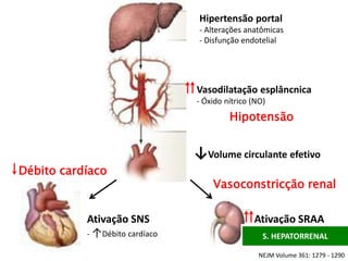 Hipertensão portal
- Alterações anatômicas
- Disfunção endotelial
Vasodilatação esplâncnica
- Óxido nítrico (NO)
↓Volume circulante efetivo
Ativação SNS
- ↑Débito cardíaco
Ativação SRAA
- Retenção Na/H20
NEJM Volume 361: 1279 - 1290
↓Débito cardíaco
Vasoconstricção renal
Hipotensão
Ascite de difícil
controle, hiponatremia
↑
↑
↑
↑
S. HEPATORRENAL
 